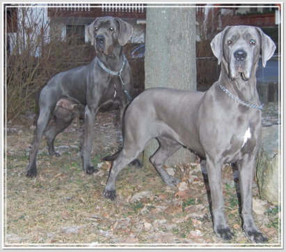 Ulli & Nora