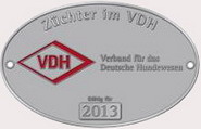Deutsche Doggen Züchter im VDH